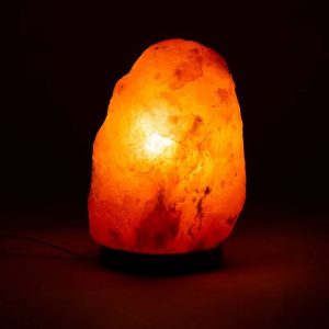 Zoutlamp 2000-3000g