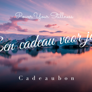 Waardebon PYS 100