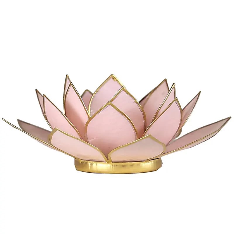 Lotus pastel roze goudrand